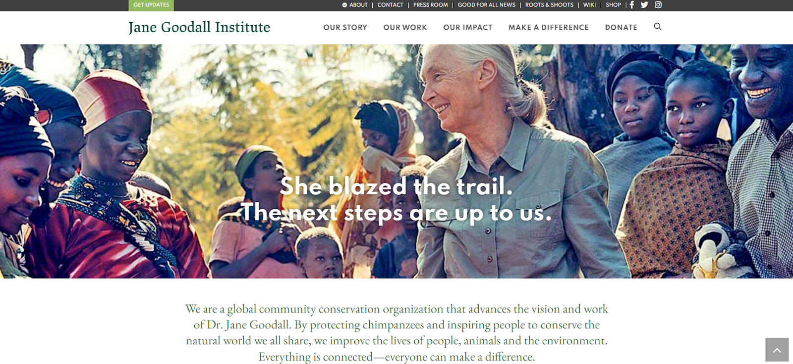 13 WordPress Website Examples (+The Themes You Can Use)