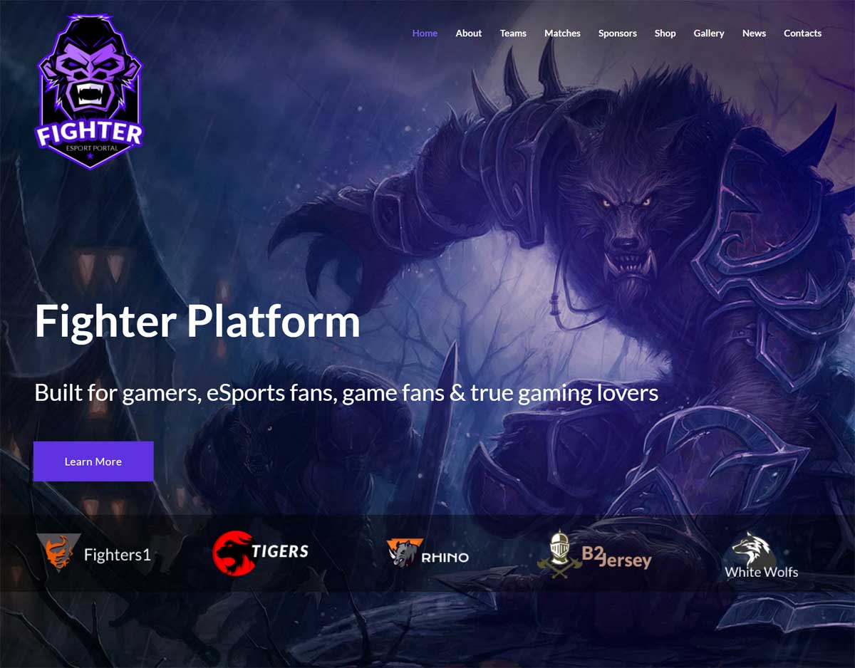 18 Best Esports Website Template Designs 2025