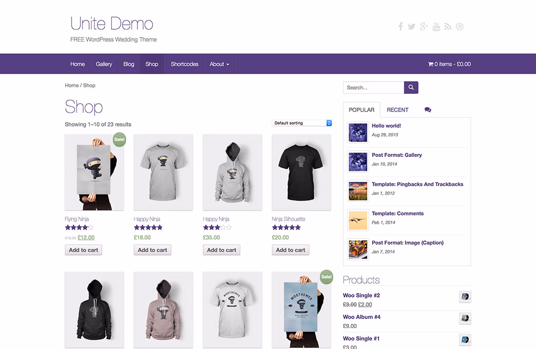 free eCommerce WordPress theme